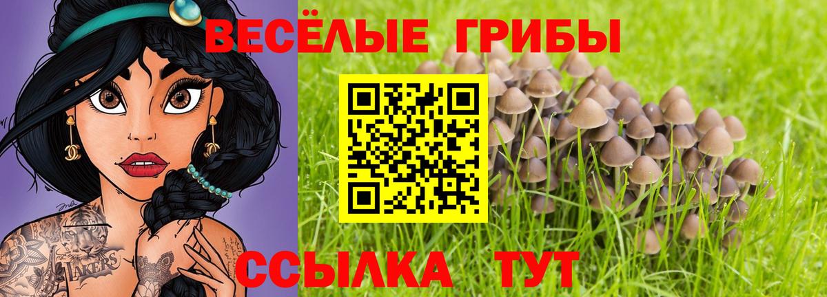 Галлюциногенные грибы ЛСД  Вход с VPN  Галлюциногенные грибы мицелий  Семилуки 